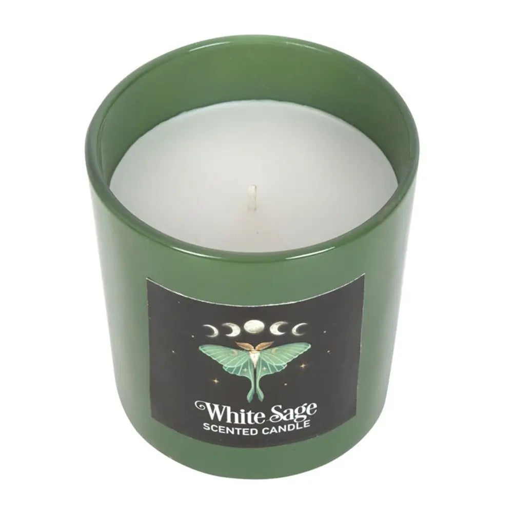 Luna Moth White Sage Candle - Image #2