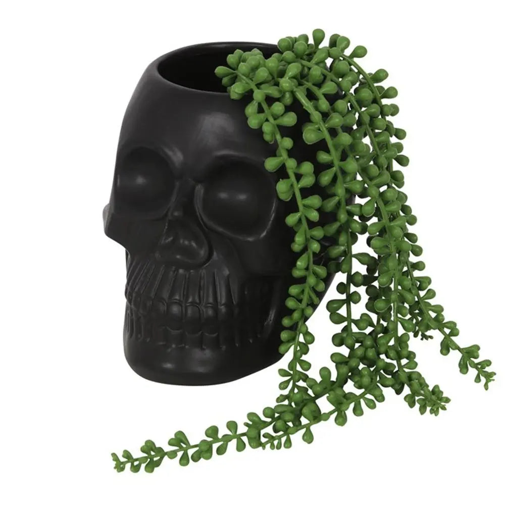 Black Skull Plant Pot - Satin & Sox