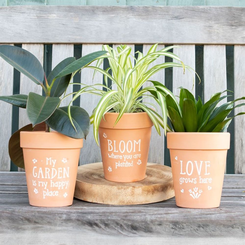 Love Grows Here Terracotta Plant Pot - Satin & Sox